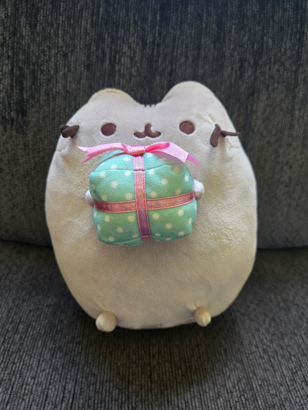 Pusheen Gund Claire’s EXCLUSIVE  Present Stuffed Animal Plush 2017